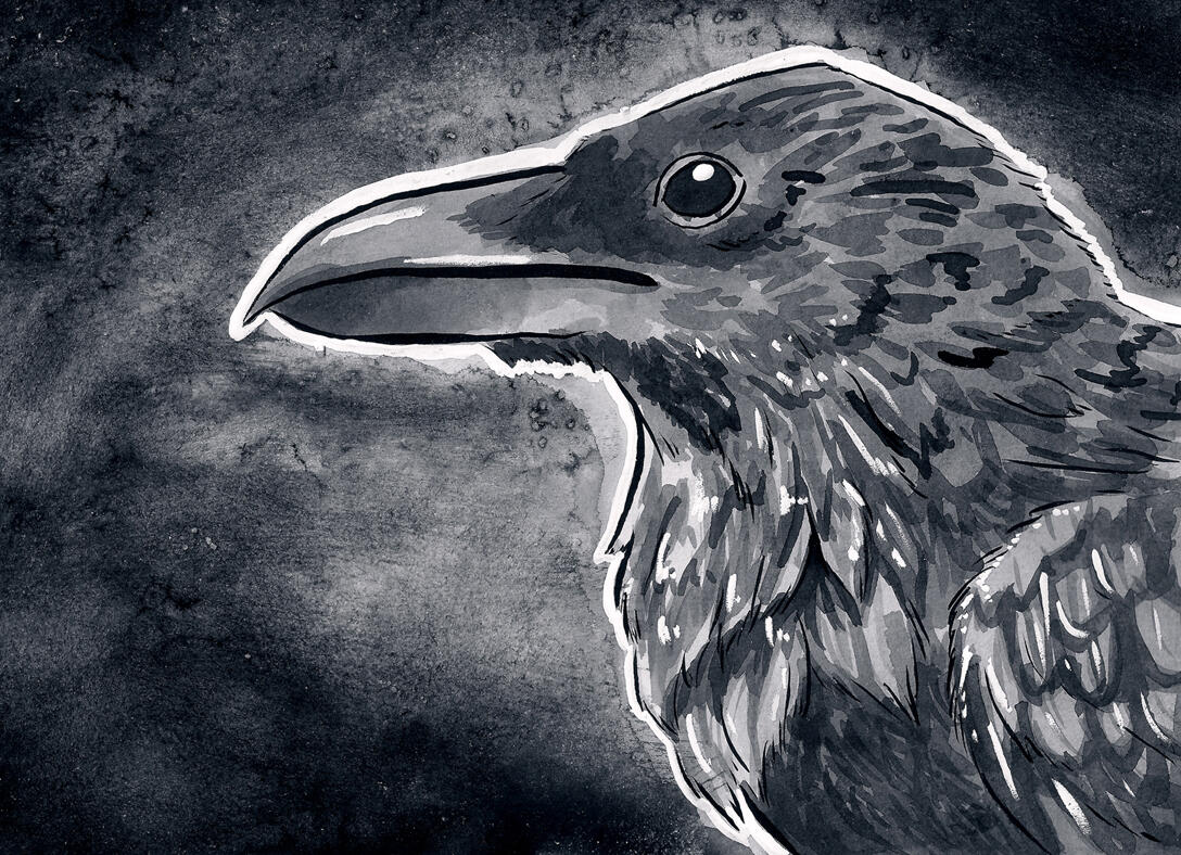 “Crow” - ink wash painting, available as pinback buttons and prints